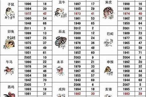 1941 生肖|1941年属什么生肖？详解1941年生肖属相特点与运势